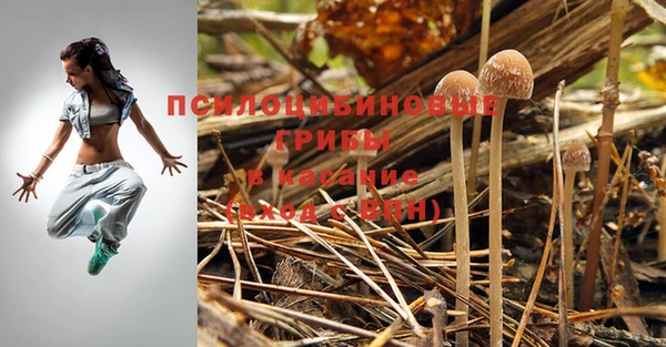 кристаллы Костерёво