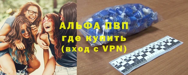 гашик Козельск