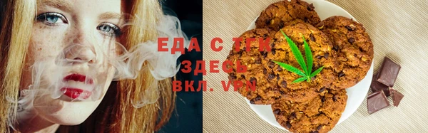 гашик Козельск