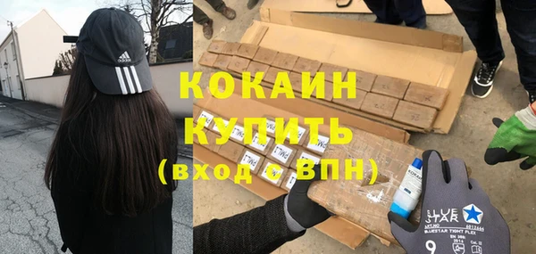 гашик Козельск