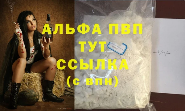 гашик Козельск
