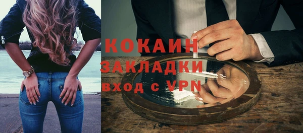 прущие грибы Корсаков
