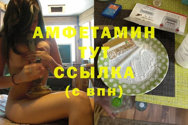 гашик Козельск