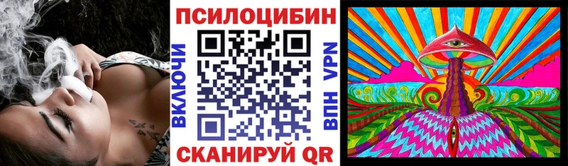 блэк спрут ссылка  Сураж  Псилоцибиновые грибы Cubensis 